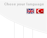 Chose Your Language